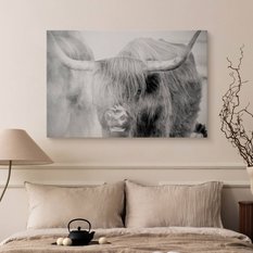 Obraz Na Płótnie Krowa Szkocka Natura  120x80 Krajobraz We Mgle Zwierzęta - Miniaturka zdjęcia nr 5