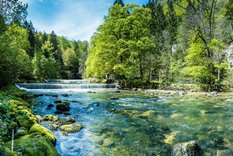 Fototapeta do salonu rzeka las natura 3D Dekoracja Nowoczesna Przyrodnicza - Miniaturka zdjęcia nr 4