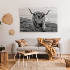 Obraz Na Płótnie Krowa Szkocka Czarno-Biały 120x80 Pejzaż Natura Zwierzęta  - Miniaturka zdjęcia nr 3