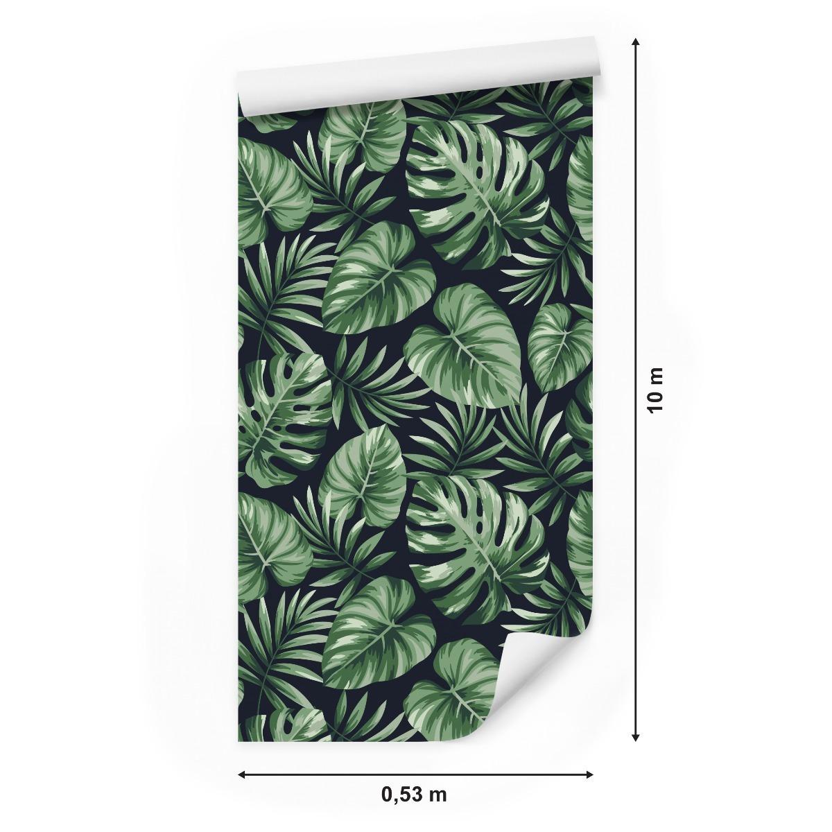 Tapeta, Liście Monstery, Natura, Wystrój Tropikalny nr. 2