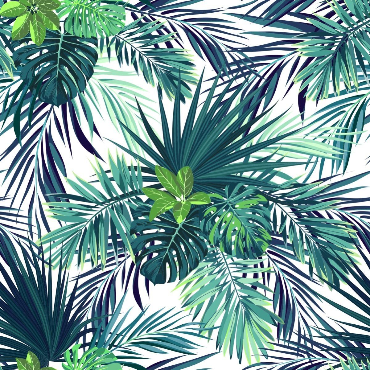 Tapeta liście egzotyczne MONSTERA zieleń przyroda  nr. 3