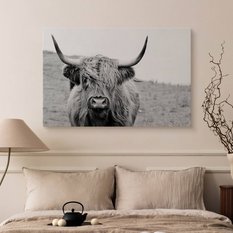 Obraz Na Płótnie Krowa Szkocka Czarno-Biały  90x60 Krajobraz Natura Polana - Miniaturka zdjęcia nr 5