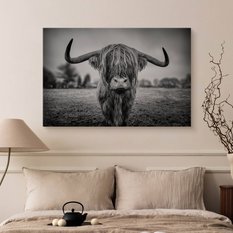 Obraz Do Sypialni Dzika Krowa Szkocka  40x30 Natura Czarno-Biały Pejzaż - Miniaturka zdjęcia nr 7