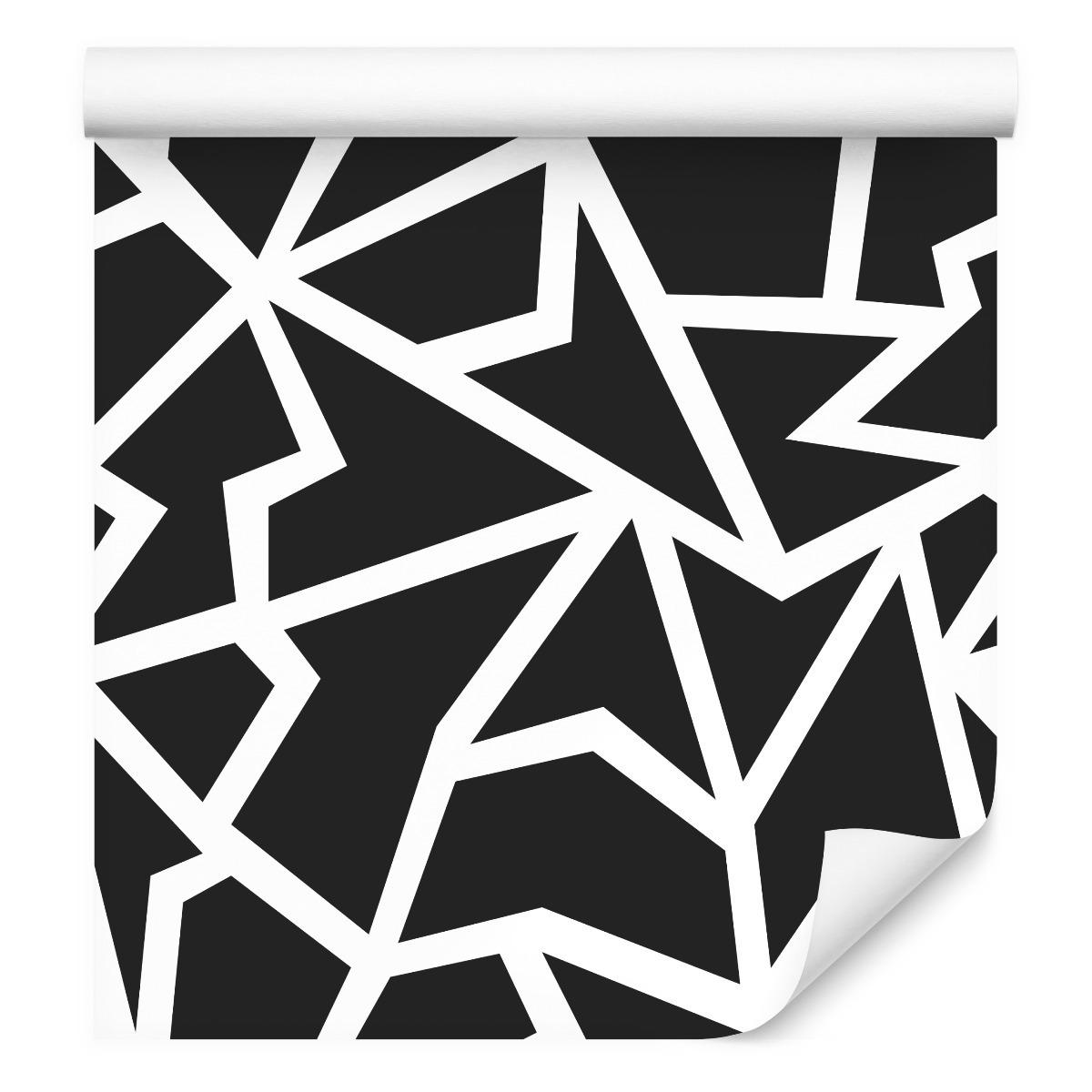Tapeta Nowoczesna Czarno-Biały Wzór Geometryczny  nr. 7
