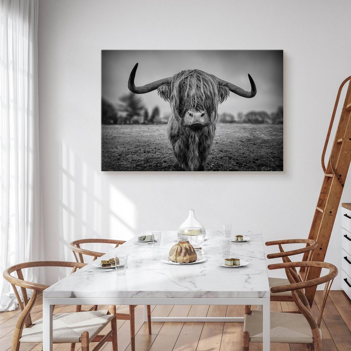 Obraz Do Sypialni Dzika Krowa Szkocka  40x30 Natura Czarno-Biały Pejzaż nr. 5