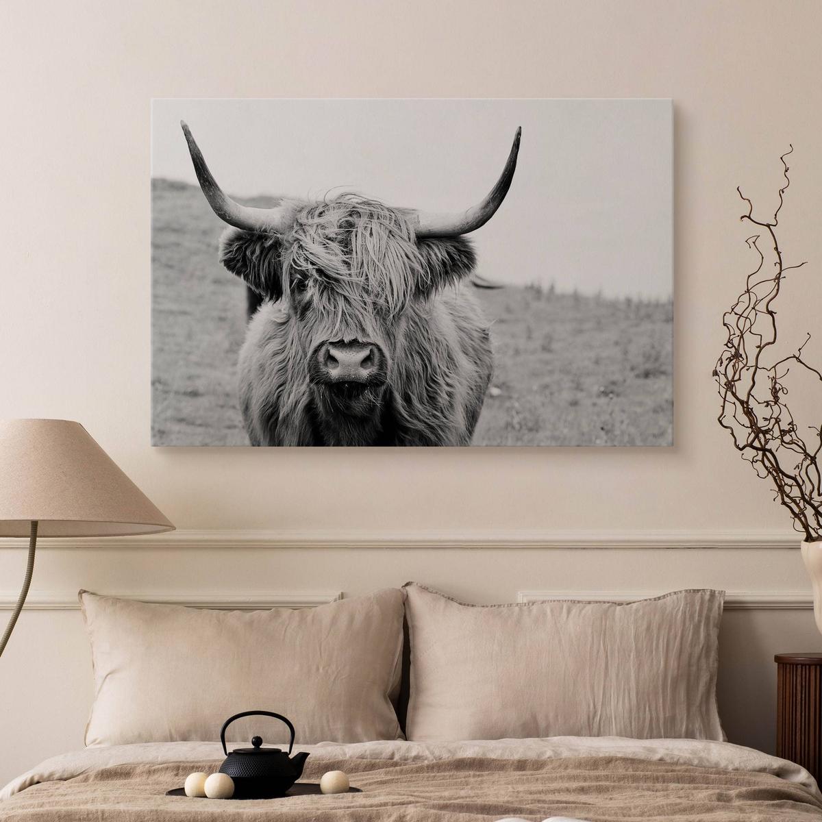 Obraz Na Płótnie Krowa Szkocka Czarno-Biały  120x80 Krajobraz Natura Polana nr. 5