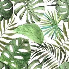 Tapeta, Duże, Egzotyczne Liście, Tropikalna Monstera - Miniaturka zdjęcia nr 4
