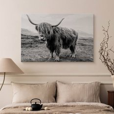 Obraz Do Salonu Krowa Szkocka Krajobraz  30x20 Klify Czarno-Biały Canvas - Miniaturka zdjęcia nr 5