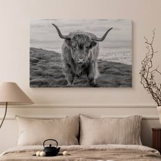 Obraz Na Płótnie Krowa Szkocka Czarno-Biały 120x80 Pejzaż Natura Zwierzęta  - Miniaturka zdjęcia nr 7