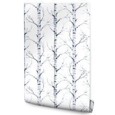 Tapeta Ścienna Delikatne Brzozy DRZEWA Natura Las 53x1000  - Miniaturka zdjęcia nr 1