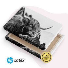 Obraz Do Salonu Krowa Szkocka Czarno-Biały 120x80 Pejzaż Góry Las Natura  - Miniaturka zdjęcia nr 8