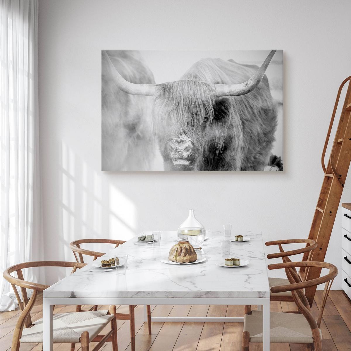 Obraz Na Płótnie Krowa Szkocka Natura  120x80 Krajobraz We Mgle Zwierzęta nr. 6