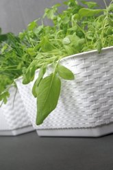 Doniczka na parapet Rattan ISR500P skrzynka donica - Miniaturka zdjęcia nr 2