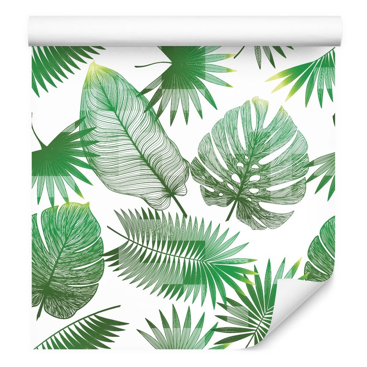 Tapeta, Zielone, Egzotyczne Liście, Bananowiec, Monstera
