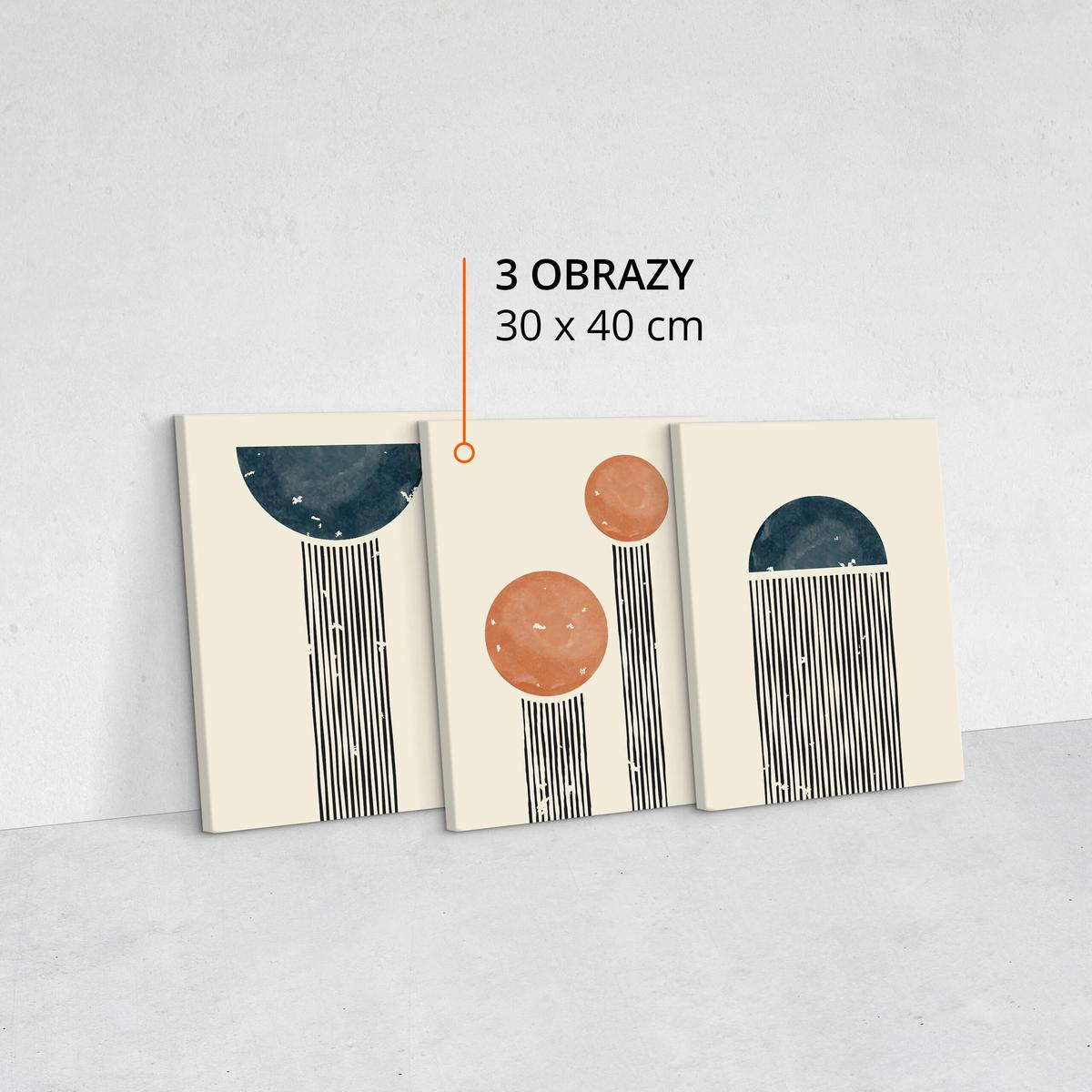 Obrazy Na Płótnie Set Abstrakcja Figury Geometryczne Styl Boho 90x40cm nr. 10