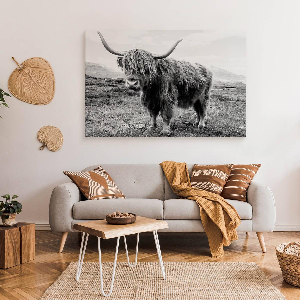 Obraz Do Salonu Krowa Szkocka Krajobraz  40x30 Klify Czarno-Biały Canvas nr. 3