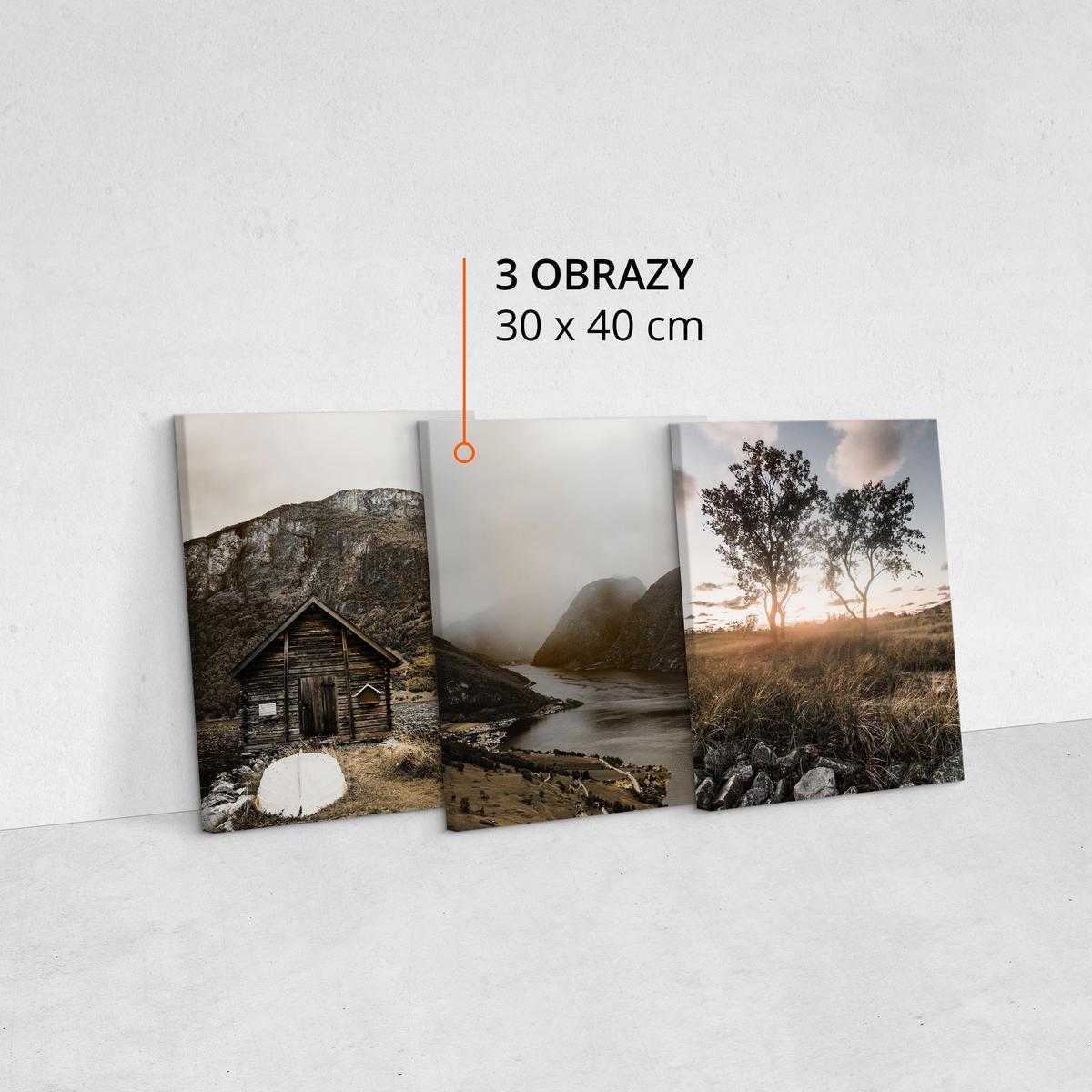 Obrazy Do Sypialni Pejzaż GÓRY Rzeka Natura 90x40cm nr. 2