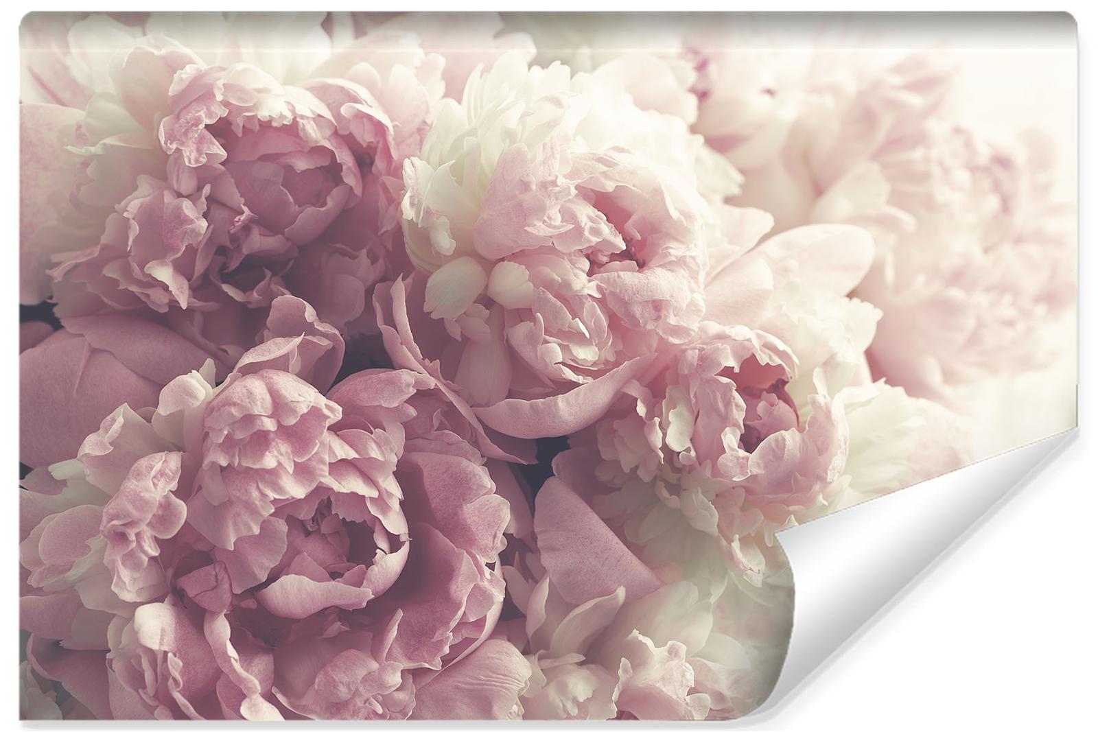 Fototapeta Kwitnące KWIATY Peonie Dekor 3D Dekoracja Nowoczesna do Salonu nr. 1