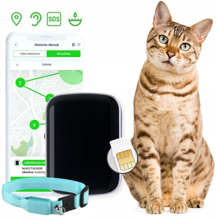 Lokalizator GPS Locon Cat Max dla kota aplikacja