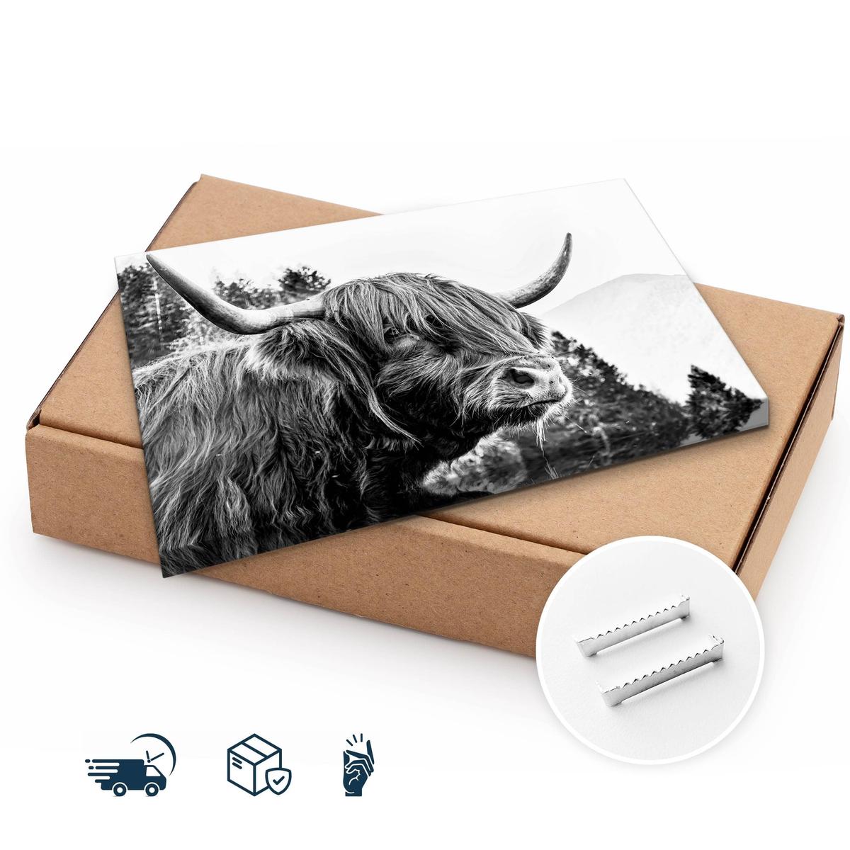 Obraz Do Salonu Krowa Szkocka Czarno-Biały 120x80 Pejzaż Góry Las Natura  nr. 10