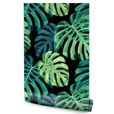 Tapeta W Rolce Liście Tropikalne MONSTERA Natura - Miniaturka zdjęcia nr 1