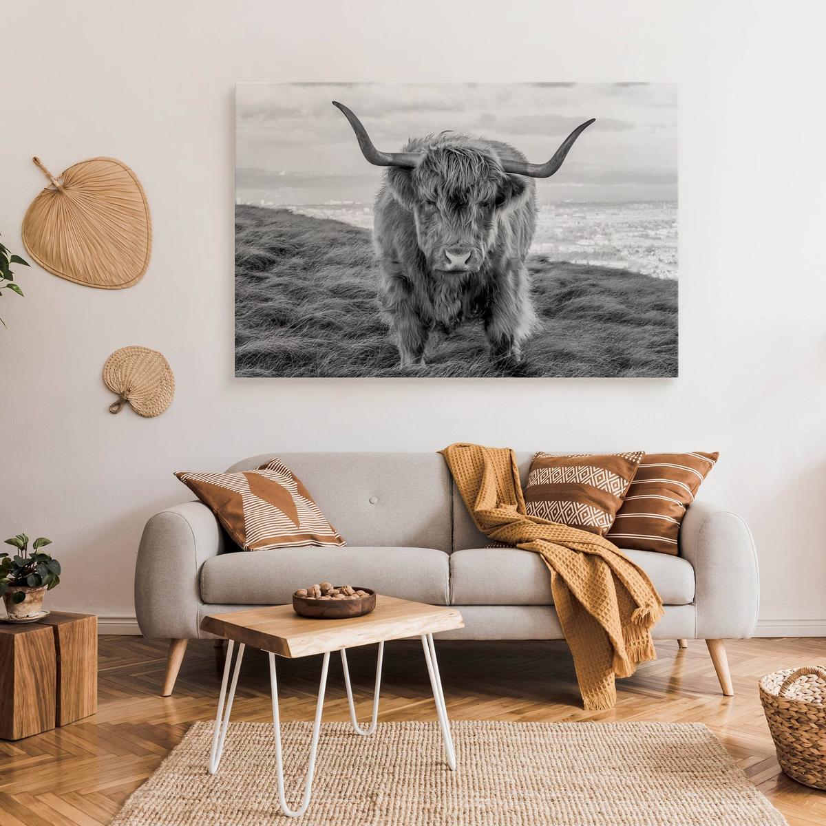 Obraz Na Płótnie Krowa Szkocka Czarno-Biały 120x80 Pejzaż Natura Zwierzęta  nr. 3