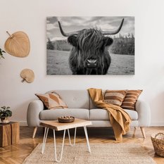 Obraz Do Sypialni Krowa Szkocka Na 120x80 Tle Traw Czarno-Biały Pejzaż - Miniaturka zdjęcia nr 3