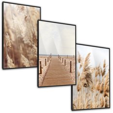 Zestaw 3X Plakat W Ramie Trawa Pampasowa Plaża Może Styl Boho Natura 60x80cm - Miniaturka zdjęcia nr 2