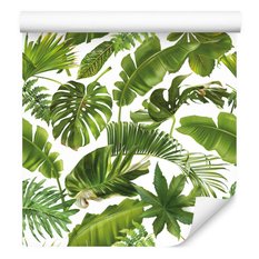 Tapeta LIŚCIE Tropikalne Bananowiec Palma Monstera 53x1000  - Miniaturka zdjęcia nr 8