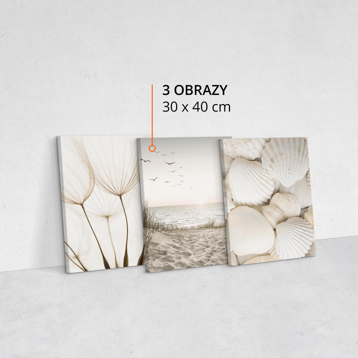 Obrazy Do Sypialni MORZE Plaża Musze Kwiaty 90x40cm nr. 2