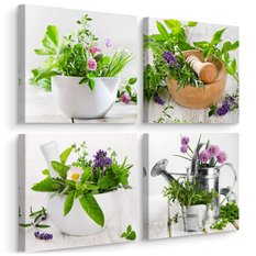 Obrazy Do Kuchni SET Świeże ZIOŁA Przyprawy Rośliny Natura Kwiaty 100x100cm