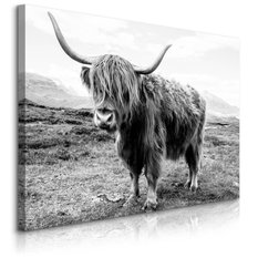 Obraz Do Salonu Krowa Szkocka Krajobraz  120x80 Klify Czarno-Biały Canvas - Miniaturka zdjęcia nr 1