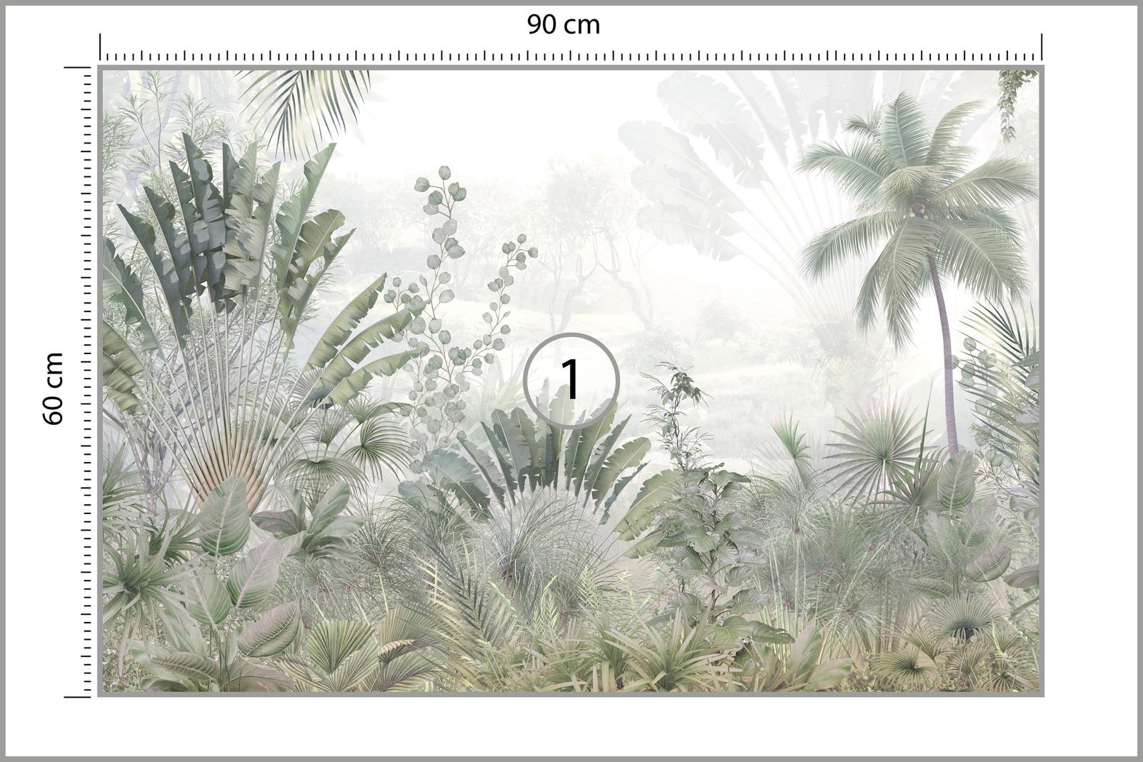 Fototapeta Do Jadalni LAS Tropikalny Dżungla Natura Pejzaż Drzewa Dekoracja Nowoczesna nr. 4