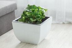 Doniczka Muna matowa 35 Kwadrat 35xh26cm Donica - Miniaturka zdjęcia nr 3