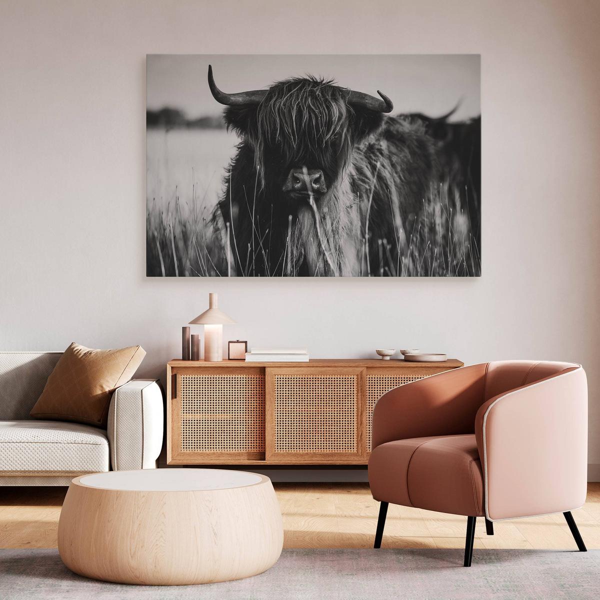 Obraz Do Sypialni Krowa Szkocka Czarno-Biały  120x80 Pejzaż Polana Natura nr. 6
