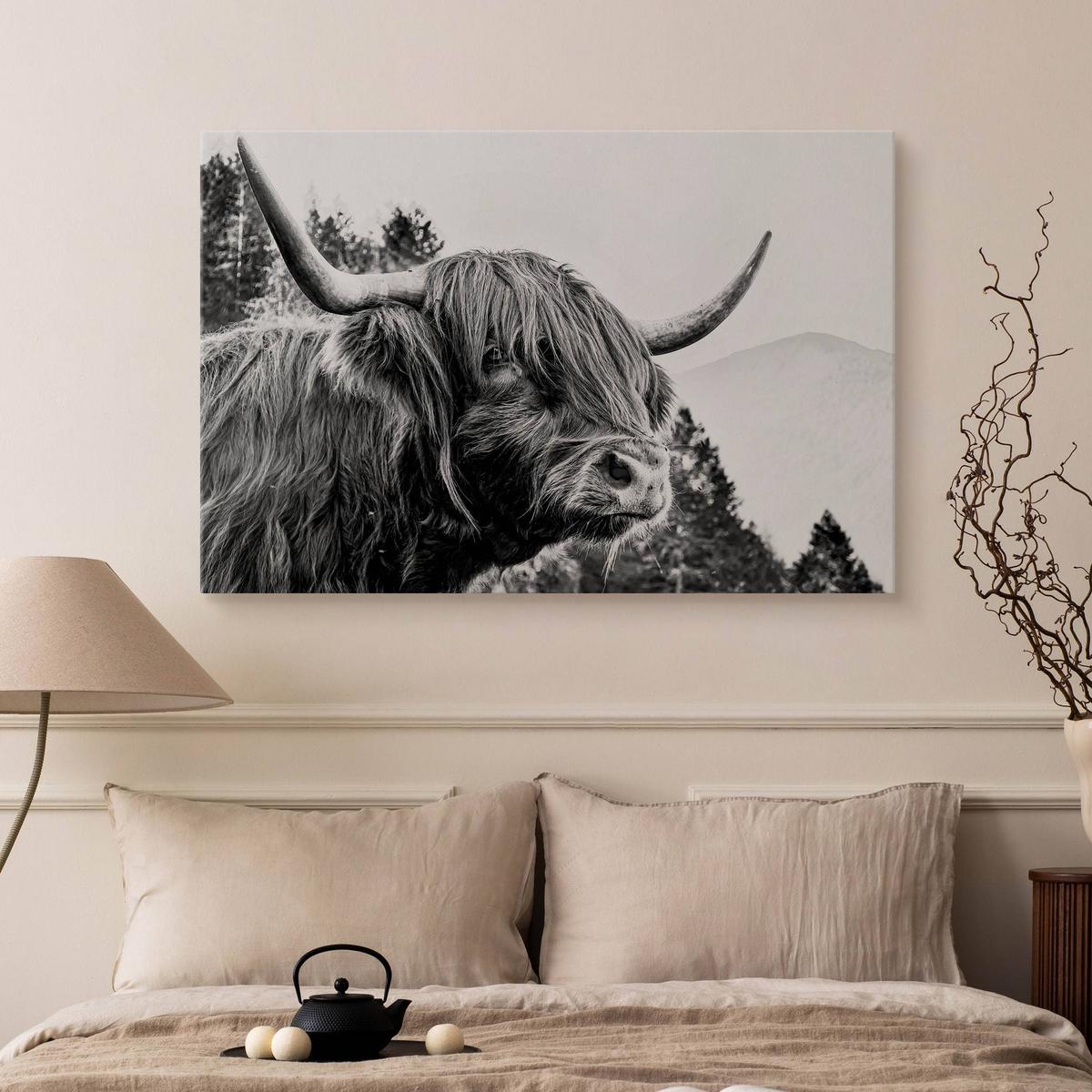 Obraz Do Salonu Krowa Szkocka Czarno-Biały  90x60 Pejzaż Góry Las Natura  nr. 5
