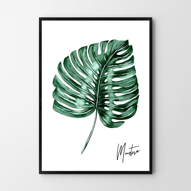 Plakat monstera liść 50x70 cm dekoracja ścienna bez ram 