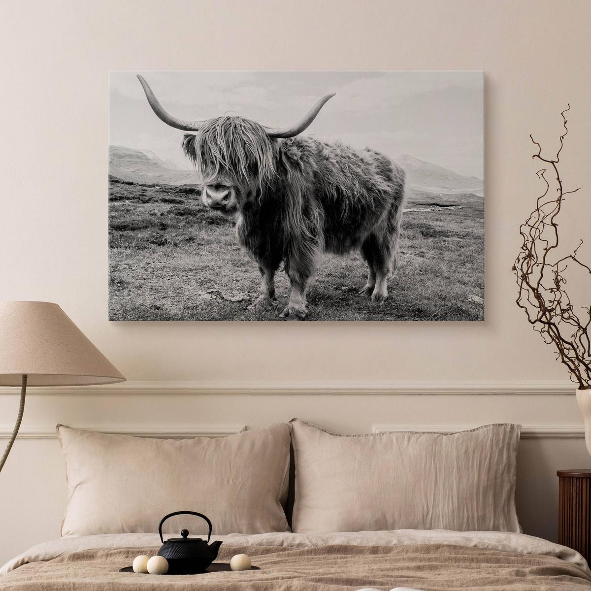 Obraz Do Salonu Krowa Szkocka Krajobraz  40x30 Klify Czarno-Biały Canvas nr. 5