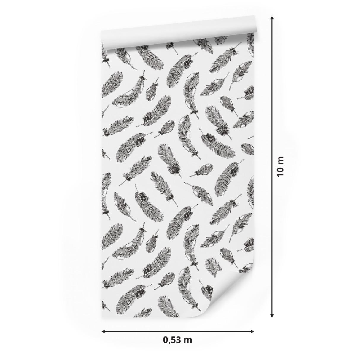 Tapeta Do Salonu Czarne PIÓRA na Białym Tle Dekor 53x1000  nr. 2