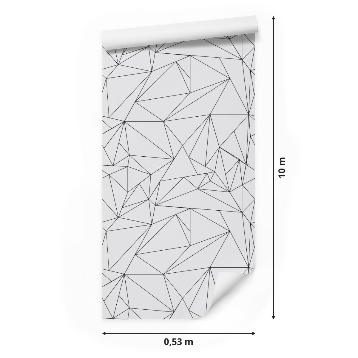 Tapeta Nowoczesny Wzór GEOMETRYCZNY Do Salonu 3D 53x1000  nr. 2