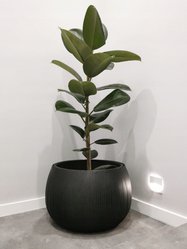 Donica kula Beton Bowl DKB180 + wkład śr.18cm - Miniaturka zdjęcia nr 3
