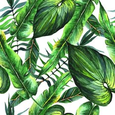 Tapeta Do Salonu LIŚCIE Tropikalne Natura Malunek  - Miniaturka zdjęcia nr 6
