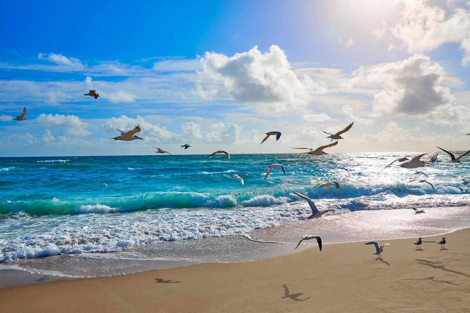 Fototapeta Plaża Morze Fale Dekoracja Nowoczesna do Salonu z Efektem 3D nr. 3