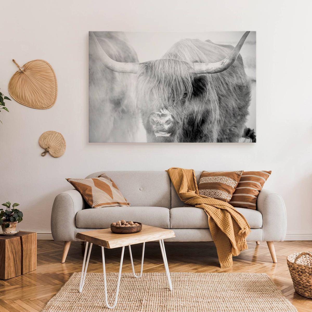 Obraz Na Płótnie Krowa Szkocka Natura  120x80 Krajobraz We Mgle Zwierzęta nr. 7