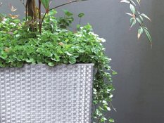 Doniczka z wkładem kwadratowa 20x20cm RATTAN Biała - Miniaturka zdjęcia nr 5