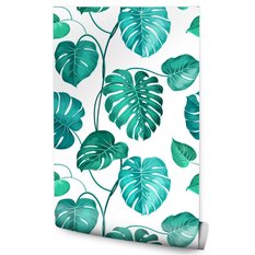 Tapeta Ścienna LIŚCIE Tropikalne Monstera Ozdoba 53x1000  - Miniaturka zdjęcia nr 1