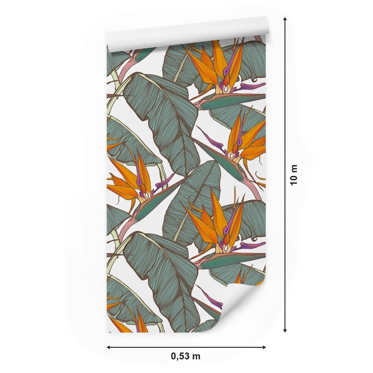 Tapeta Egzotyczna, Dekoracja w Stylu Nowoczesnym, Bananowiec nr. 2