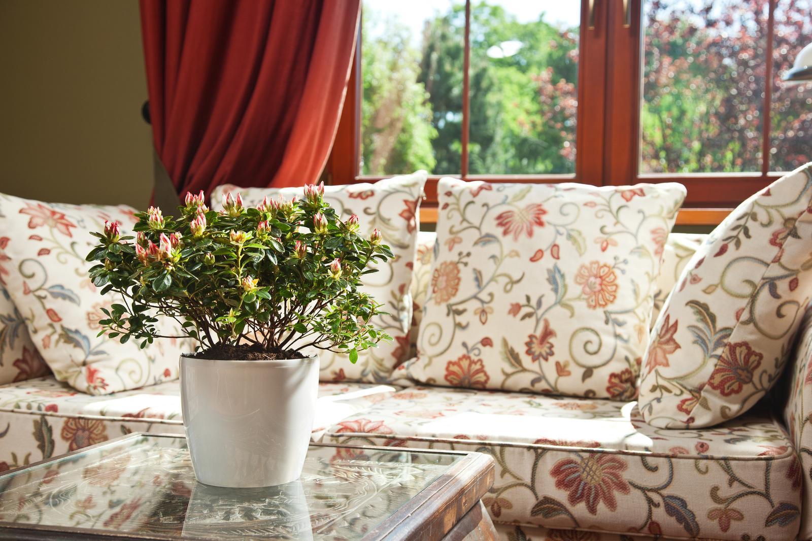 Donica okrągła MAGNOLIA 250 w połysku 8l nr. 8