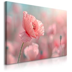 Obraz Na Płótnie Różowe Maki Na Łące Natura 70x50 Polna Przyroda - Miniaturka zdjęcia nr 1