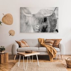 Obraz Na Płótnie Krowa Szkocka Natura  100x70 Krajobraz We Mgle Zwierzęta - Miniaturka zdjęcia nr 7